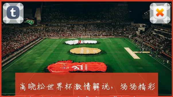 高晓松世界杯激情解说，场场精彩逗趣连连，足球盛宴不容错过，敬请关注