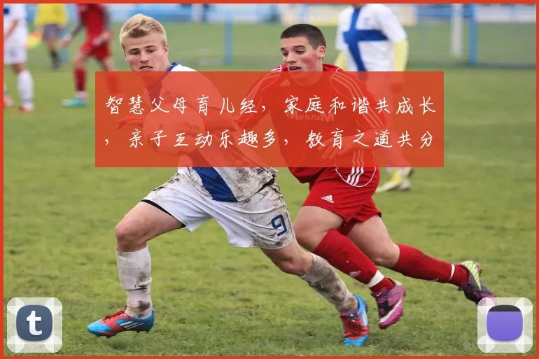 智慧父母育儿经，家庭和谐共成长，亲子互动乐趣多，教育之道共分享