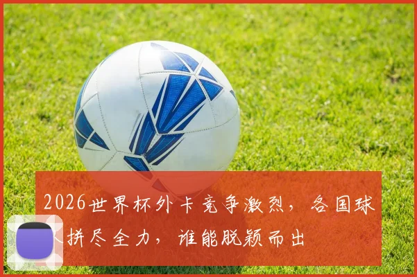 2026世界杯外卡竞争激烈，各国球队拼尽全力，谁能脱颖而出