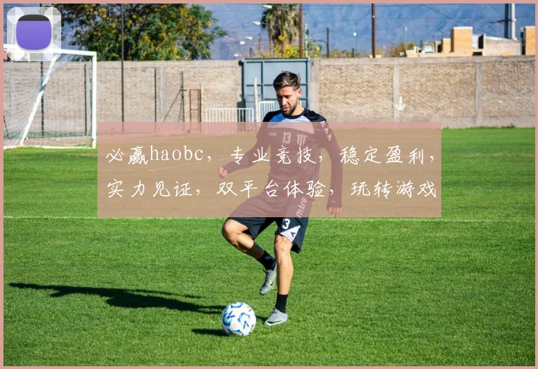 必赢haobc，专业竞技，稳定盈利，实力见证，双平台体验，玩转游戏